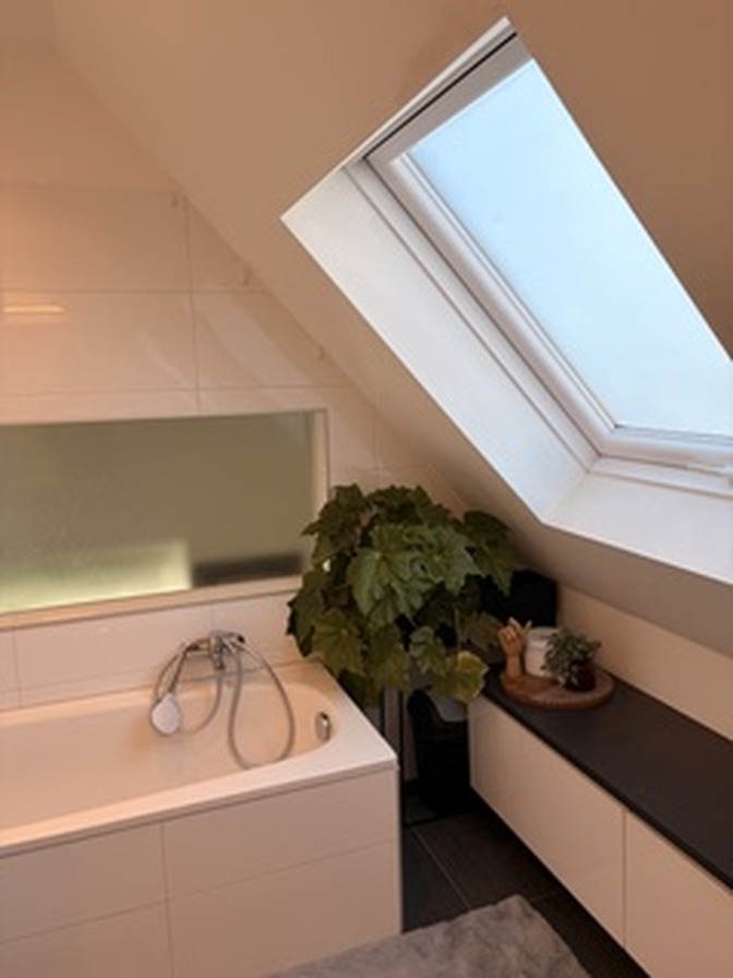 Modernes Dachgeschossbad mit Badewanne, Pflanze und großem Dachfenster